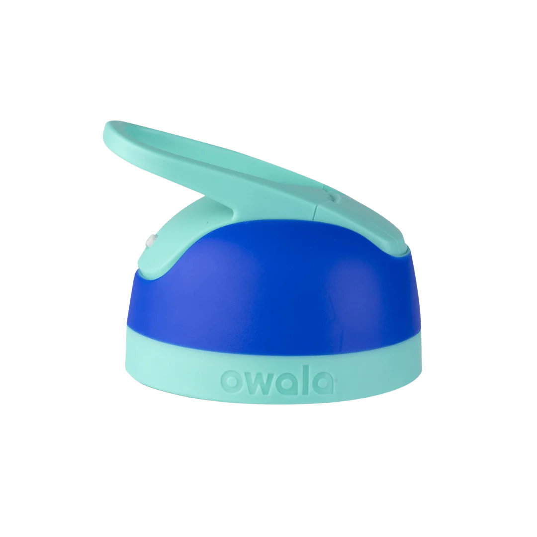 Flip / Smooshed Blueberry